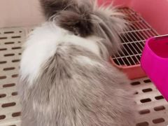 -平行世界·猫咖(首经贸店)