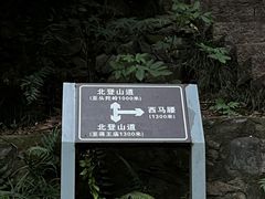 -紫金山山顶公园