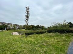 -两河城市森林公园