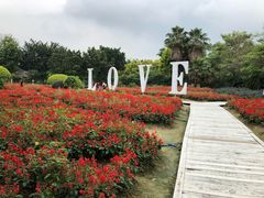 -广东花都香草世界旅游度假区