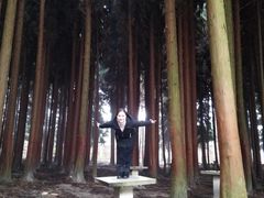 -武陵山森林公园