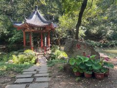 -句容茅山景区