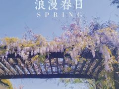 -梁鸿国家湿地公园