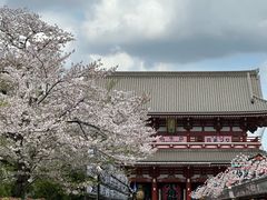 -浅草寺