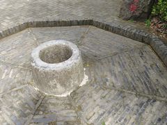 -上海佘山国家森林公园天马山园