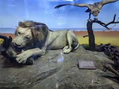 -国家自然博物馆