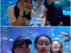 -沈阳海洋探索中心