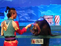 -大连圣亚海洋世界