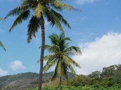 -三亚南山文化旅游区