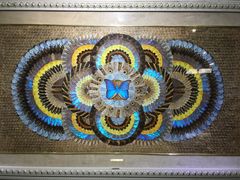 -上海昆虫博物馆