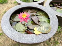 -梁鸿国家湿地公园