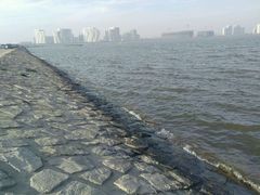 -碧海金沙
