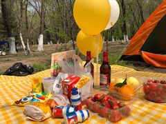 -长白岛森林公园