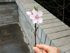 -骏途旅游