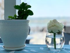 -望海·帆船主题咖啡厅•品茗下午茶(石湖景区店)