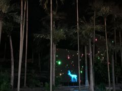-三亚红色娘子军演艺公园景区