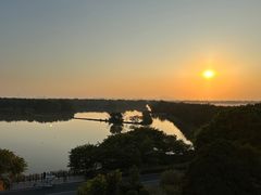 -大湾区中央湿地公园