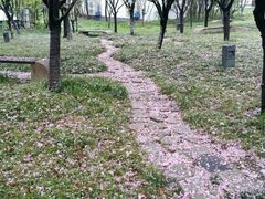 -白塘生态植物园