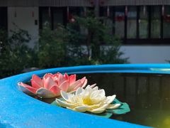 -祝家花園(伯渎港店)