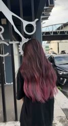 -Mentor Hair Salon