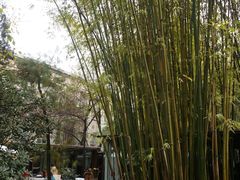 -新竹里馆·花园餐厅(兴苑路店)