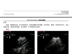 -泰洋动物医院·神经专科·磁共振·CT(天河公园总院)
