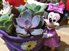 -双季花艺园艺市场(浦东店)