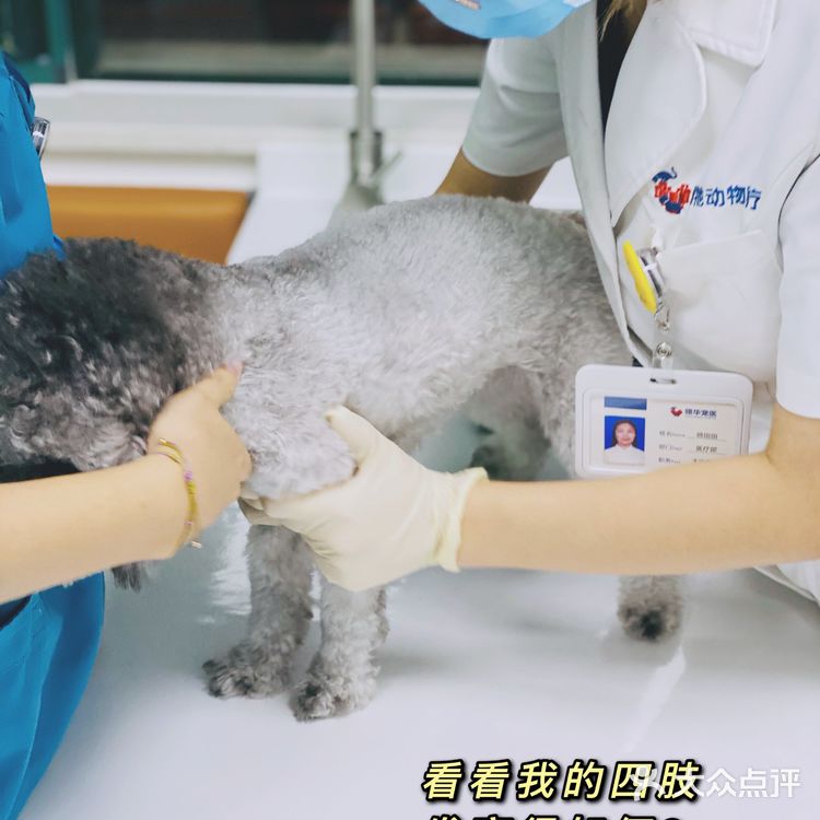 领华宠医·星华宠物医院|医生和环境都非常靠谱的连锁宠物🏥