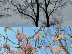 -上方山森林动物世界