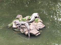 -野生动物园-停车场