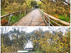 -西湖风景区-江洋畈生态公园