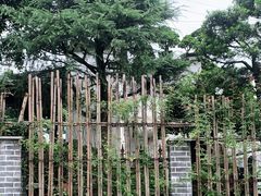 -南山植物园