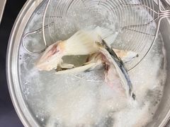 -源港渔村-中山脆肉鲩(博罗店)
