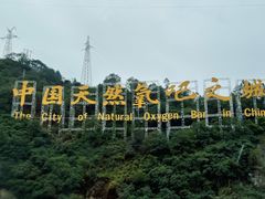 -牛背梁国家森林公园