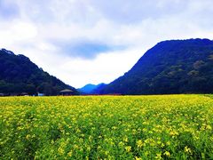 -广州市石门国家森林公园