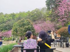 -食膳公园包子铺(烈士公园店)