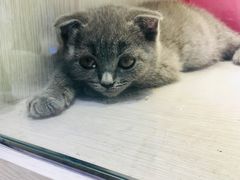 -乐宠宠物店(世纪金源店)