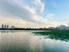 -金银湖国家城市湿地公园