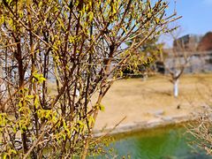 -三里河公园