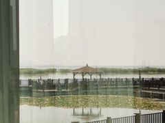 -新木器时代餐厅(太湖新天地店)