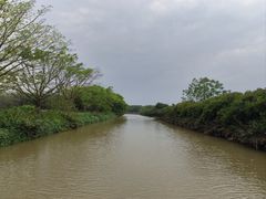 -大湾区中央湿地公园