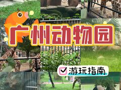-广州动物园