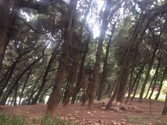 iphone_upload_pic-七曲山风景区
