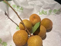 -季季山·云南野生菌火锅(上海首店)