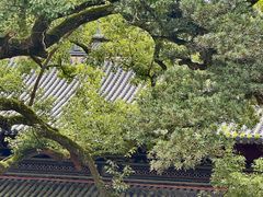 -普陀山风景名胜区-法雨禅寺