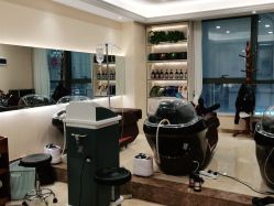 -碧莲盛·不剃发植发