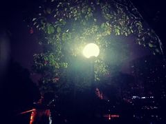 -好可爱经典炸炸炸·炸鲜奶(长郡老店)