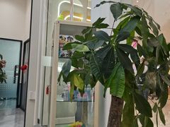 -童程童美·信息学竞赛·机器人编程·少儿编程(五棵松万达校区)