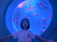 -蓬莱欧乐堡海洋极地世界