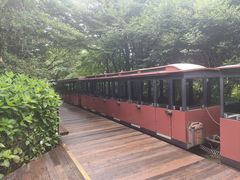 -济州森林小火车生态公园